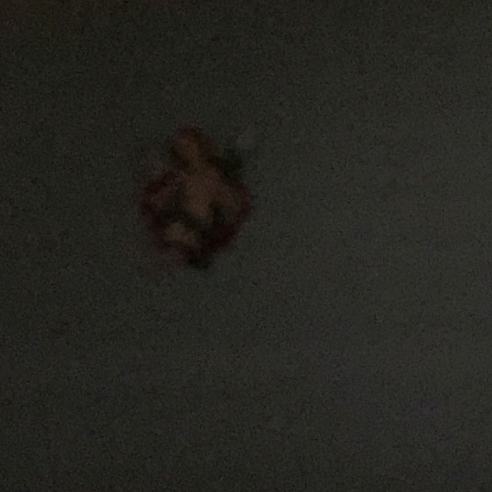 Meet your Posher, Amalia